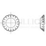 Category - DIN 6798V Serrated lock washers external teeth