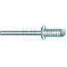 Category - Blind rivet, knurled head
