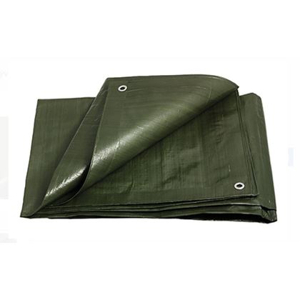 PROFI Tarpaulin PE 6x8 200/m2 GREEN
