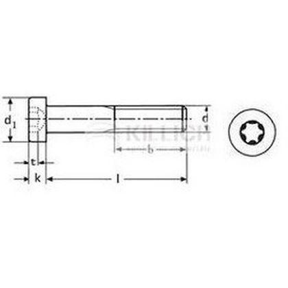 M6x10 ZINC 8.8 socket head screws low TORX 30 ISO 14580