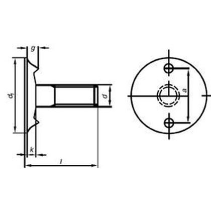 Belting bolts (elevator bolts) M8x25 DIN 15237 ZINC plated 3.6