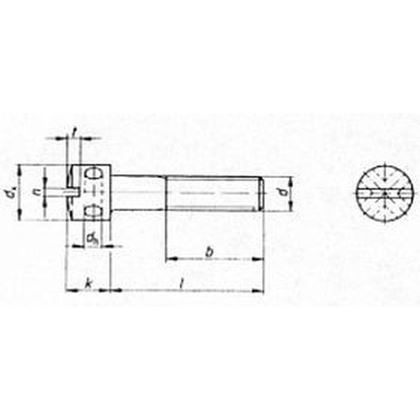 M5x16 ZINC 5.8 Capstan screws DIN 404