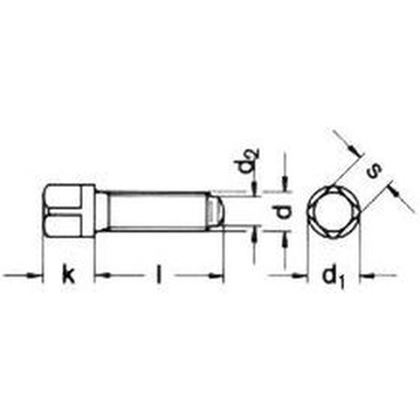 20x60 PLAIN 10.9 Square head bolt, half dog point with collar, oval half dog point DIN 480