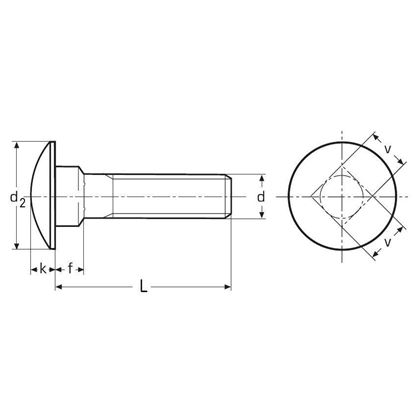 M6x50 A2 STAINLESS STEEL Carriage bolt DIN 603