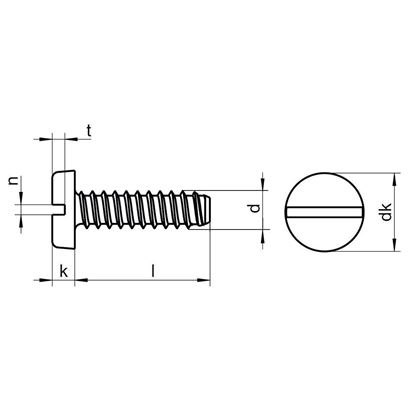 2.9x9.5 ZINC Pan head tapping screws with slot DIN 7971