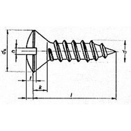 5.5x19 Slotted raised countersunk head tapping screws C ZINC DIN 7973