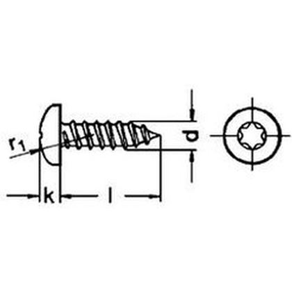 2.9x13 ZINC Pan head tapping screws with TORX 10 DIN 7981 ISO 14585 C