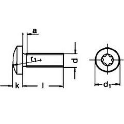 M4x20 ZINC 4.8 pan head screw with TORX 20 14583