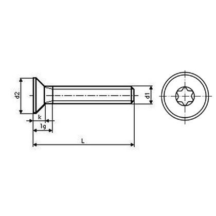 M5x8 ZINC 8.8 Hexagon socket countersunk head screw TORX 25 DIN 7991 - ISO 10642