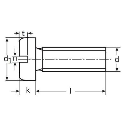 M2x12 Slotted Pan head screws natural nylon DIN 85