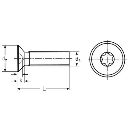 M6x50 ZINC 8.8 countersunk head screw TORX 30 ISO 14581