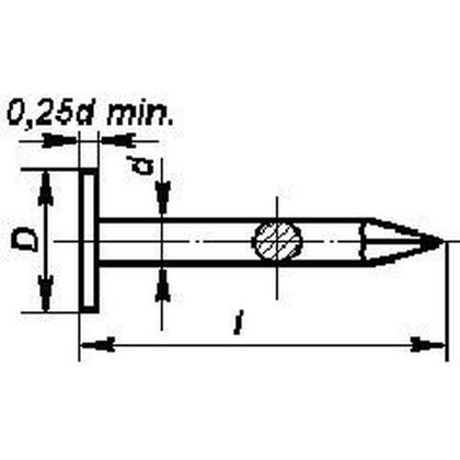 25/2,5 PLAIN Roofing nails,large head 2813.20