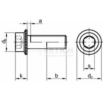 M8x12 ZINC cl.100 RIPP hexagon socket head