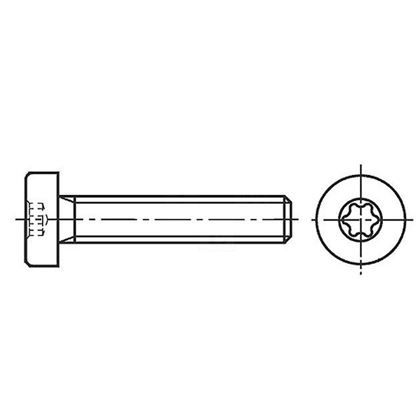 M8x20 ZINC 8.8 socket head screws TORX 45 ISO 14580