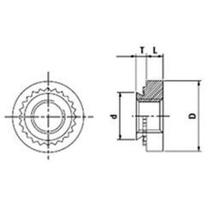 M10-1 STAINLESS STEEL Clinch nuts