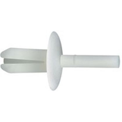 6.4 rivet polyamid natural PH=4, D=6.5