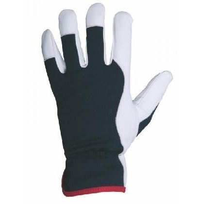 Gloves TECHNIK PLUS/PURPUREA size 10