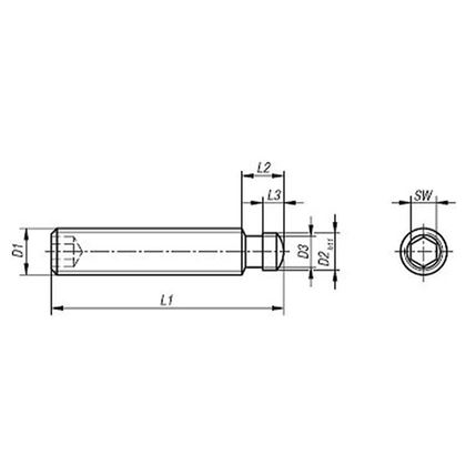 M6x30 slotted screw and pin pusher hexagonal DIN 6332