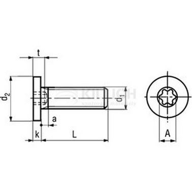M6x10 A2 STAINLESS STEEL Hexobular socket head cap screws with special low head TORX 30 BN 20146