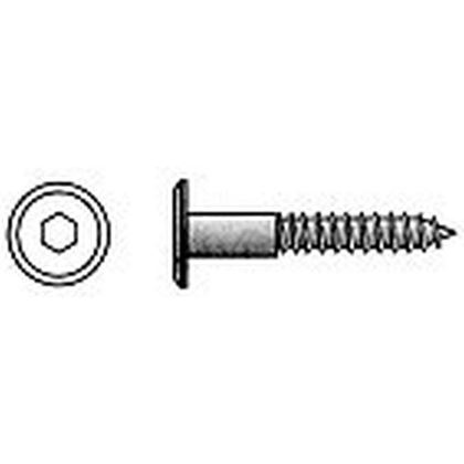 6.3x50 ZINC Furniture screw, pan head, hexagon 15+6hr
