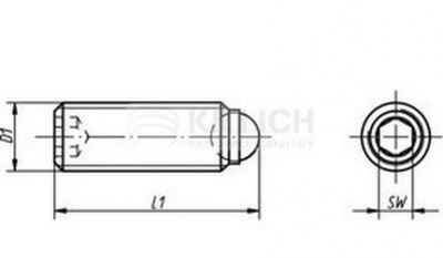 M12x28 slotted screw and pin pusher (worm) standard thickness spring