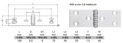 40x100 A2 STAINLESS STEEL Hinge 1.5mm
