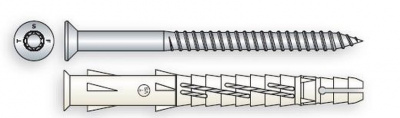 10x160 Multi-purpose nylon anchor + muschroom head screw, torx TX40