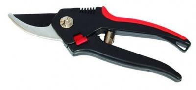 Pruners stainless 21cm