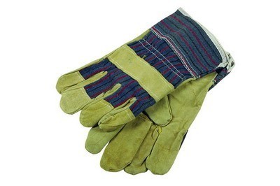Zoro gloves size 10