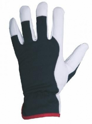 Gloves TECHNIK PLUS size 10