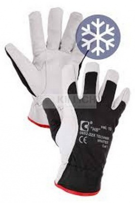 Gloves TECHNIK WINTER ECO size 10 Blue-White