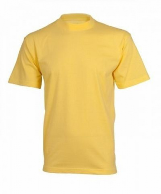 T-shirt LEAF DANIEL short sleeve, yellow, size M